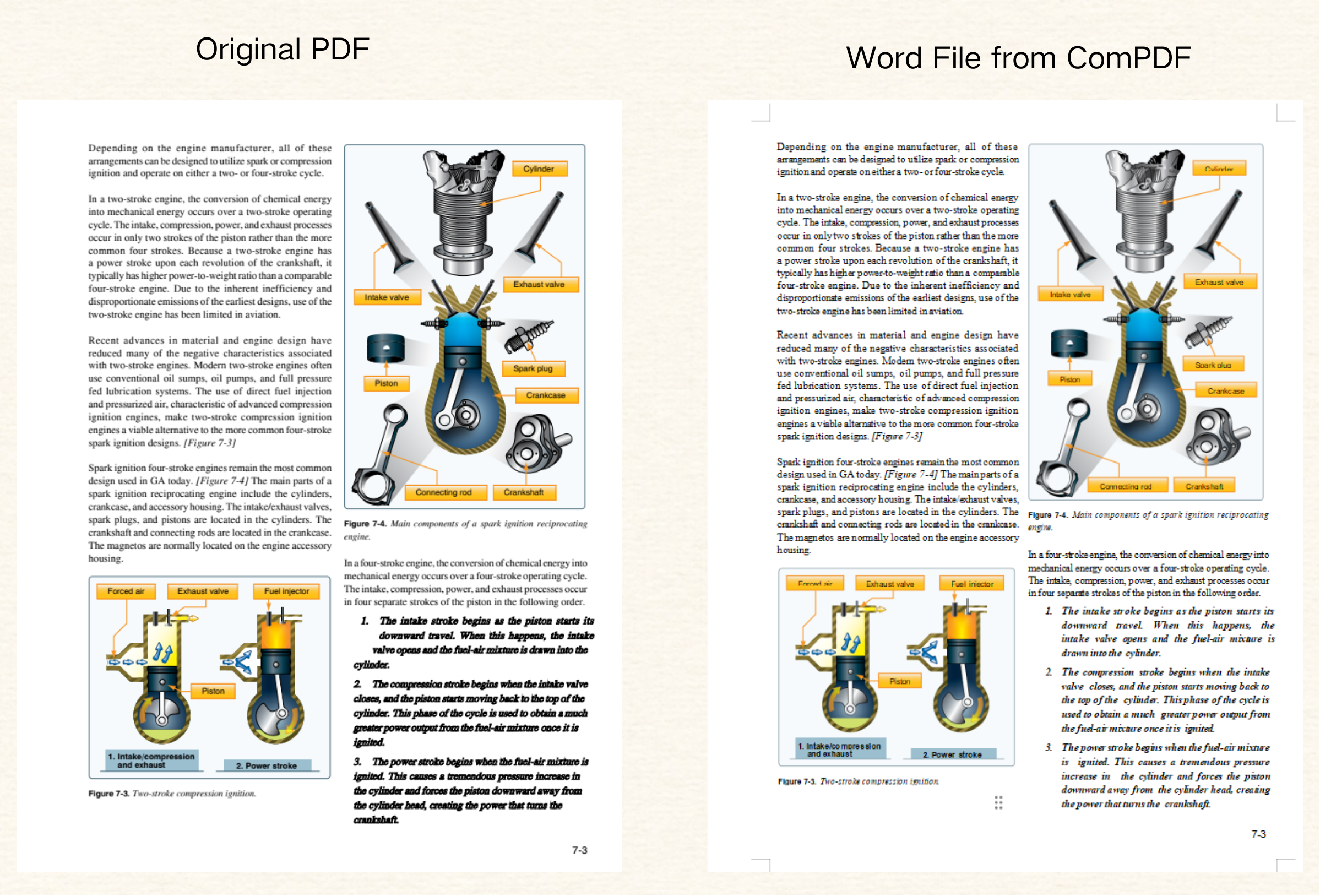 ComPDF_Converted Word File with Images and Multiple Columes